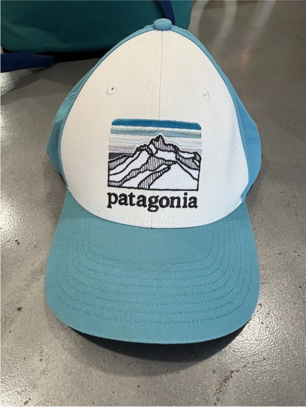 Patagonia Snapback Hat in Aqua and White